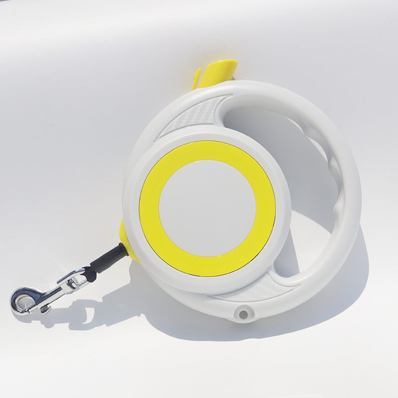 Dog and Cat Hand Holding Rope