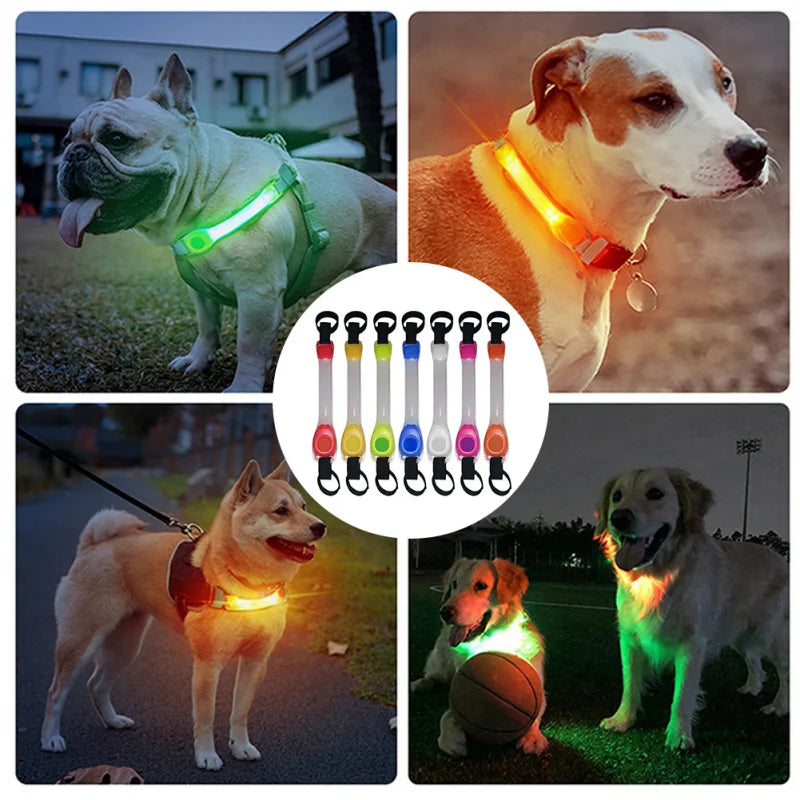 Dog Anti Lost Safety Glowing Collar Multi-Color Pendant Outdoor Waterproof Warning Led Flashing Light Strip Pet Traction Supplie