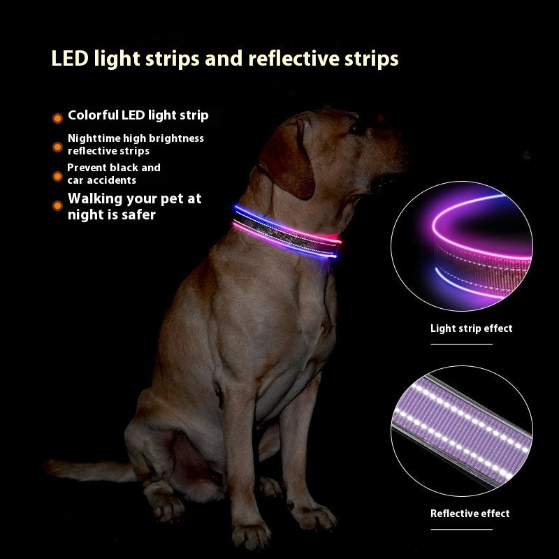 LED USB Charging Shiny Dog Collar